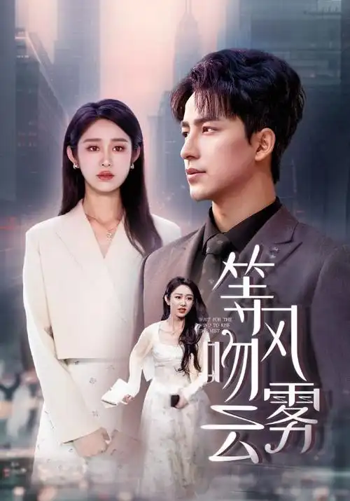 江山如画电视剧封面